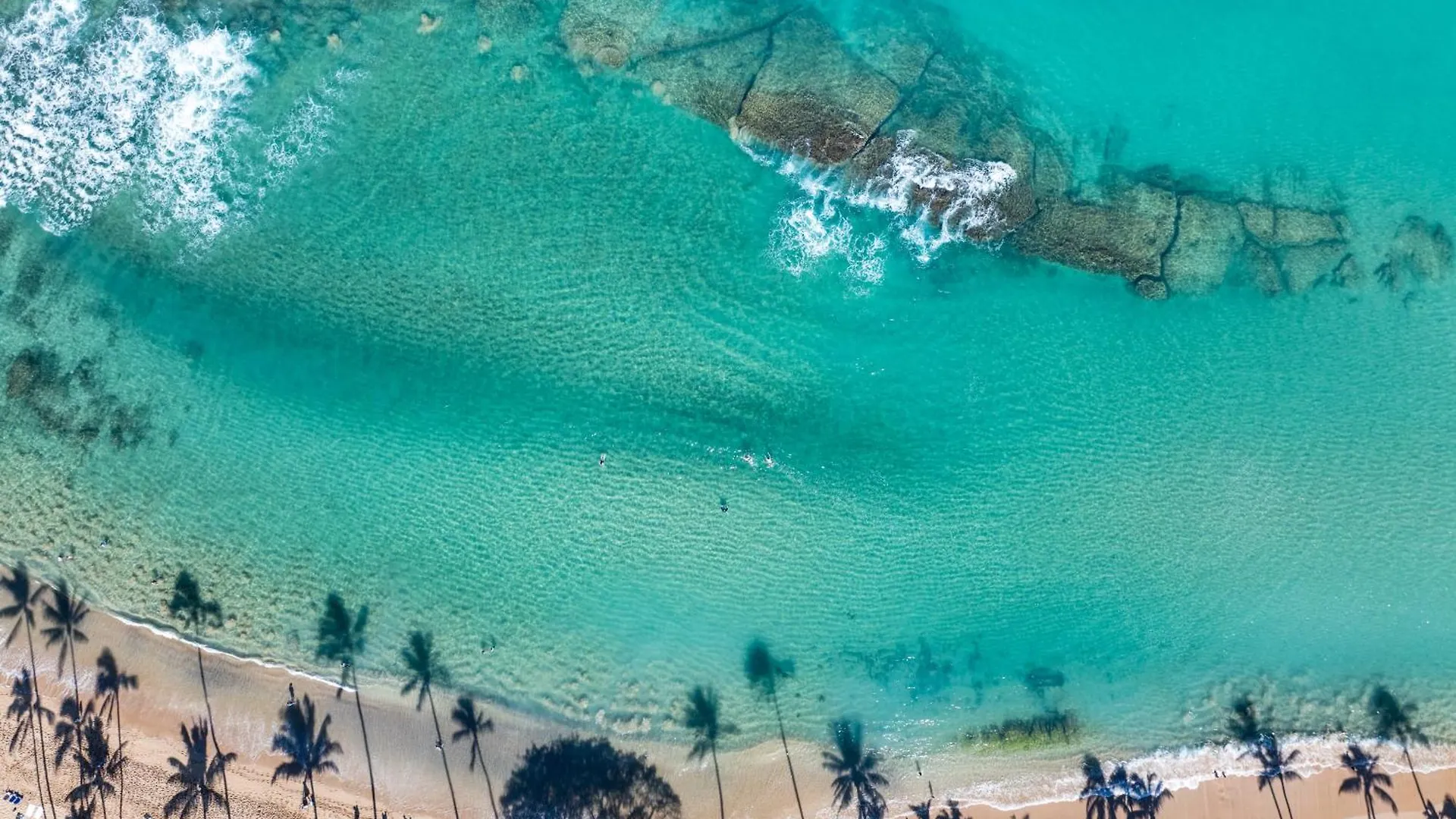 Napili Shores F-252 Kahana 0*,  United States